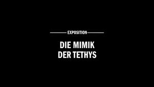 Interview Julius Von Bismarck